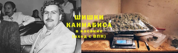 тгк Бородино