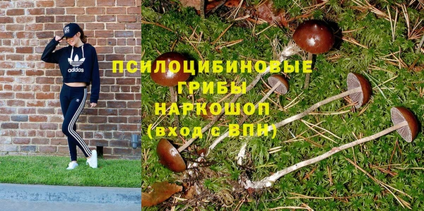 тгк Бородино